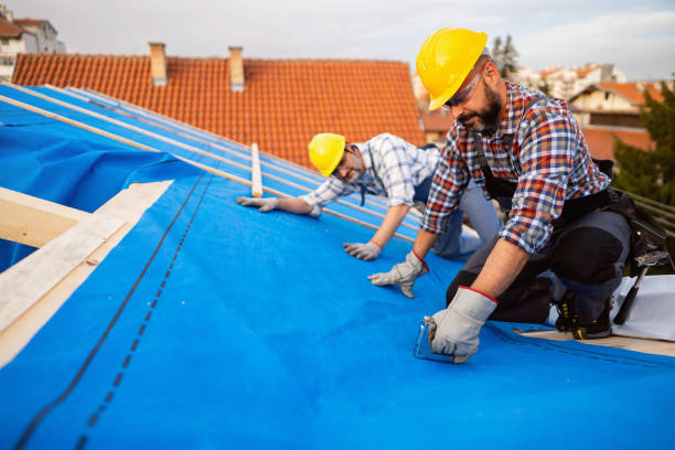 Best Roof Maintenance Services  in Sebree, KY
