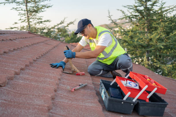 Best Local Roofing Companies  in Sebree, KY